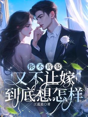 江小姐全文免费阅读