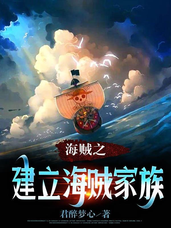 海贼之d